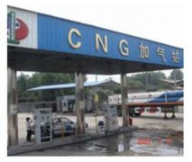 成功午夜男女免费视频