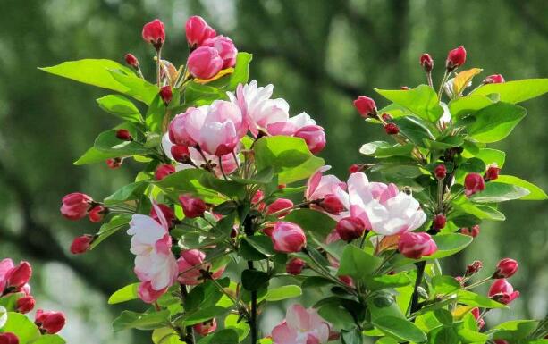 永磁變頻午夜精品视频在线观看